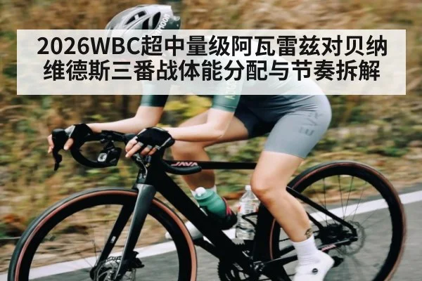 2026WBC超中量级阿瓦雷兹对贝纳维德斯三番战体能分配与节奏拆解